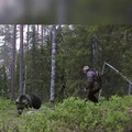 Meeting a bear in the forest.mp4