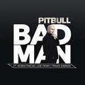 Pitbull feat Robin Thicke Joe Perry Travis Barker - Bad Man.mp3