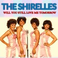 The Shirelles - Will You Love Me Tomorrow.mp3