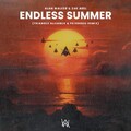 Alan Walker feat Zak Abel - Endless Summer ( 2023 ).mp3
