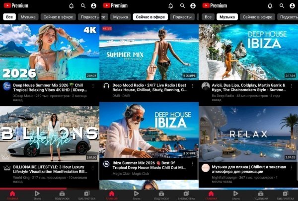 YouTube-5. 6. 80. 550-Mod