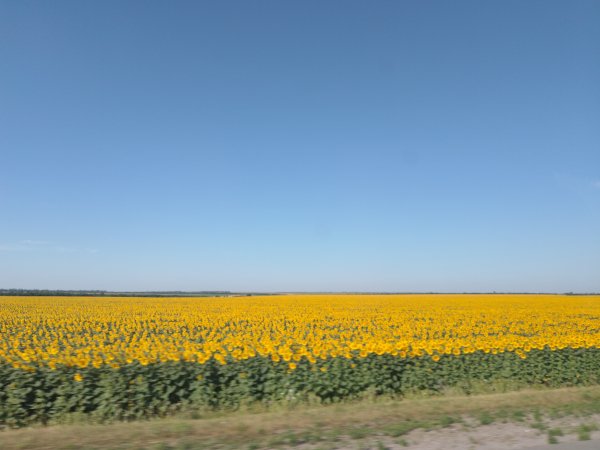 IMG 20260722 085035