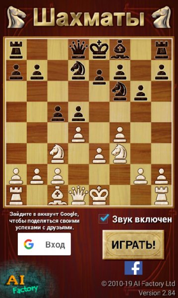 Шахматы
