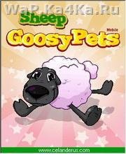Sheep Goosy Pets