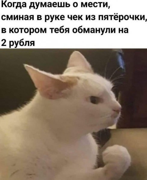 IMG 20261005 201556 012