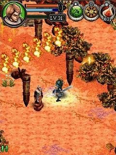 Dungeon Hunter 3 176