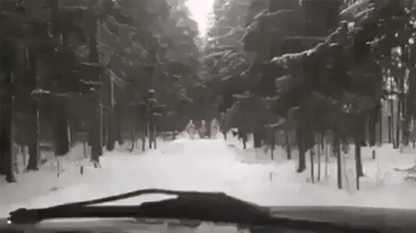 Gif 1479845803