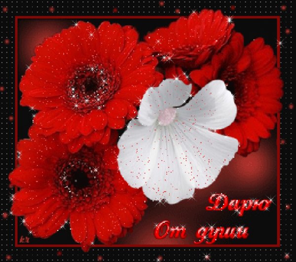 Дарю от души!