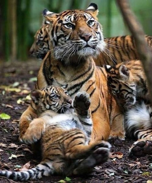 photo 1562584634