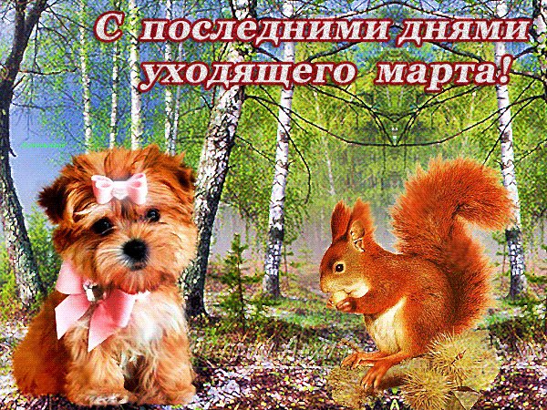 file_73026620