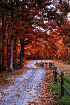 file_64811548
