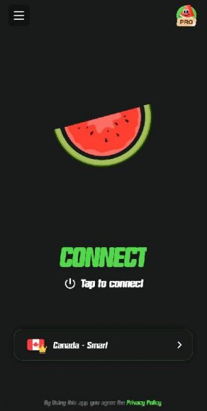 Melon VPN 7. 8. 716 arm64