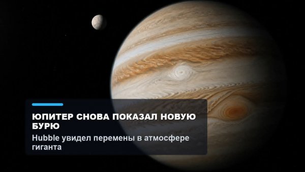 file_103225987