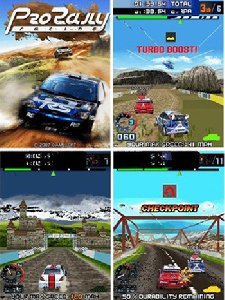 Pro-Rally-Racing