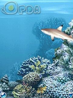 aquasim2 shark ru se nok s40 s60 mts crk