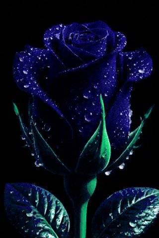 file_102351150
