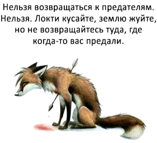 file_103181154