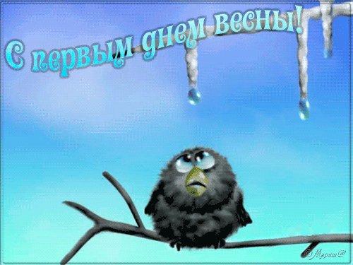 Воробушек