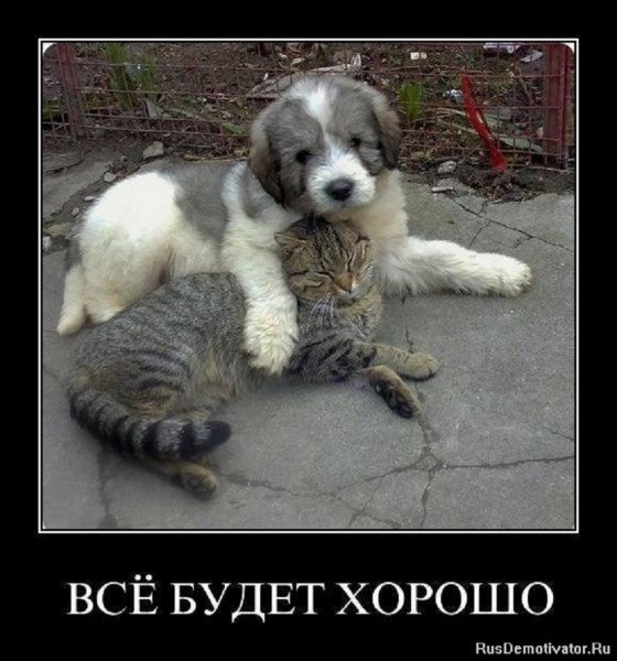 Всё будет хорошо
