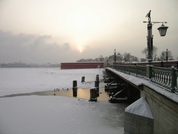 Image (67)