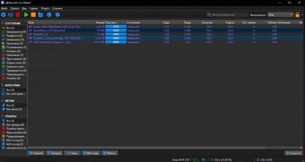 Qbittorrent 5.3.0beta1 lt12 x64 setup