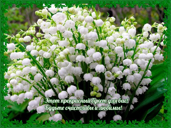 landyishi-3