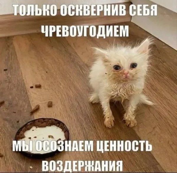 file_103577013