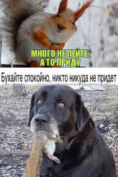 UPSP4sa3sYa9VMLOpP2JL3aa7PDb51pWLP5