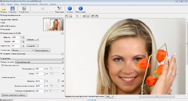 Benvista PhotoZoom Pro 5. 1. 2