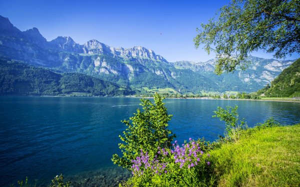 Img (15)