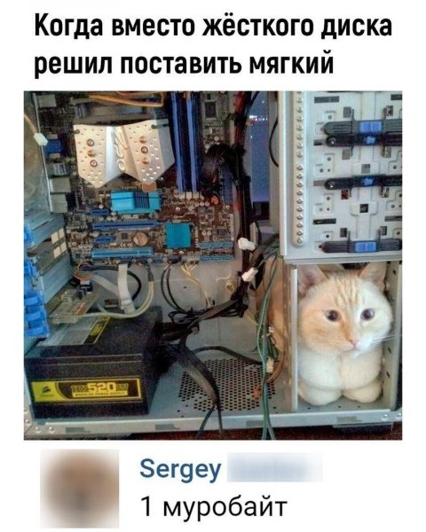 file_83193499