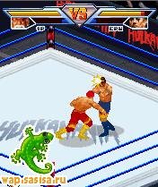 Hulkamania Wrestling