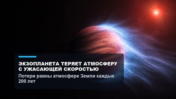 file_103226053