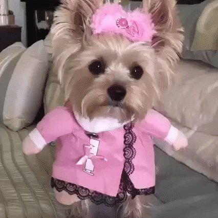 gif 1479421917