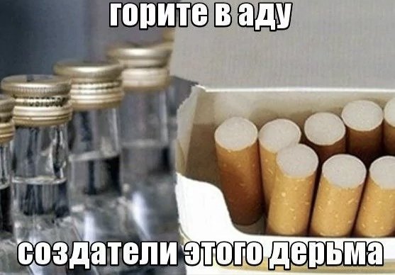 IMG 20250407 071531