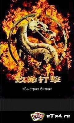 Mortal Combat 240х400 Русская версия