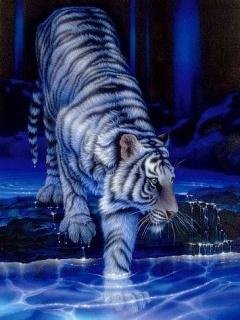 tigr samsung s5230. rc2