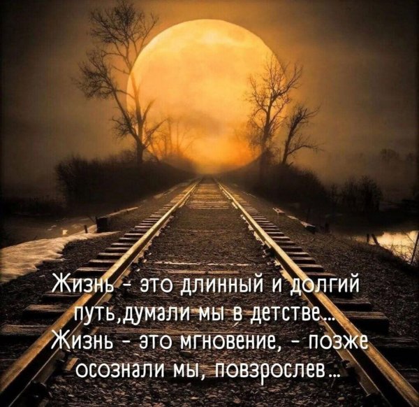 IMG 20231223 153616-