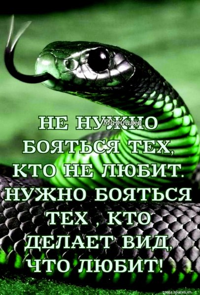 file_100719898