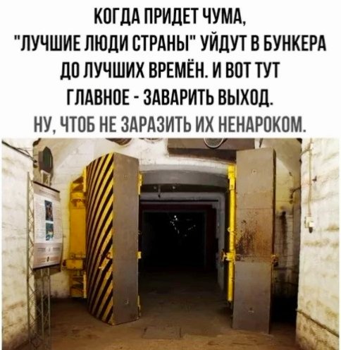 file_101854709