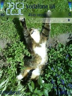 Theme diy n73+screenshots