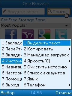 OneBrowser31