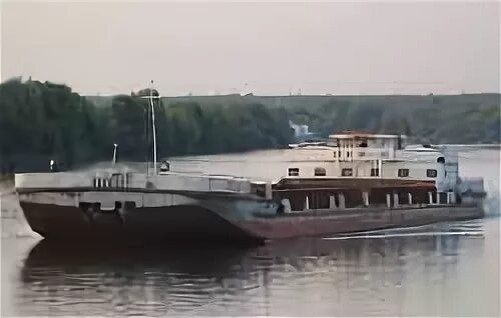file_103097006
