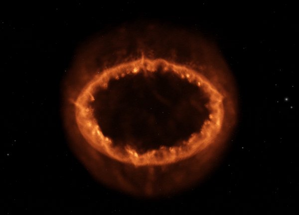 Модель сверхновой SN1987А