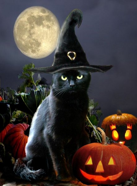 Halloween