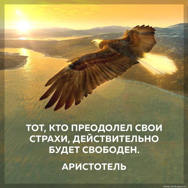 Aristotel