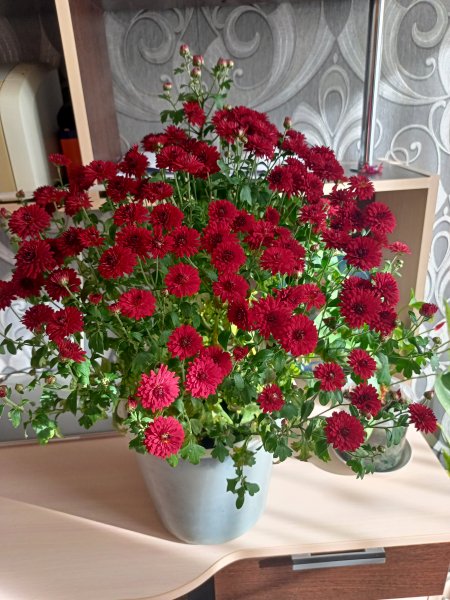 IMG20261002160213