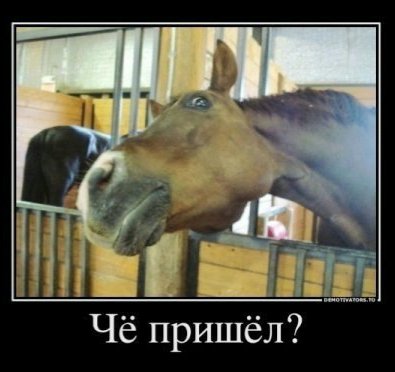 file_103414435