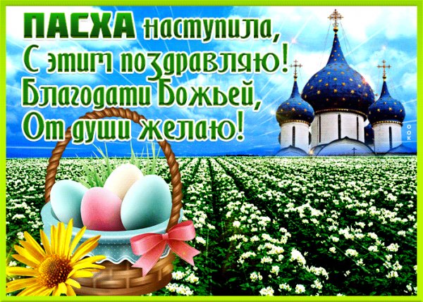 file_102385197