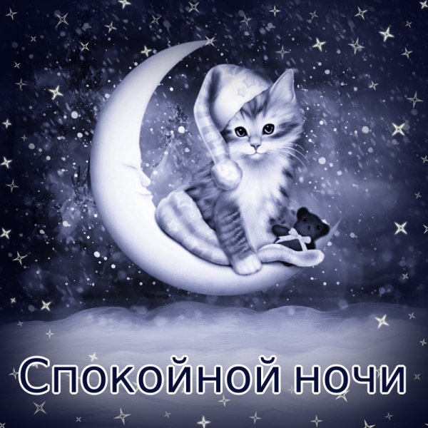 file_80021588